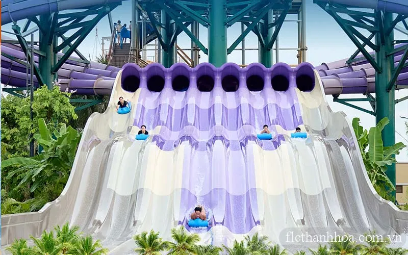 đường trượt đầy thích thú